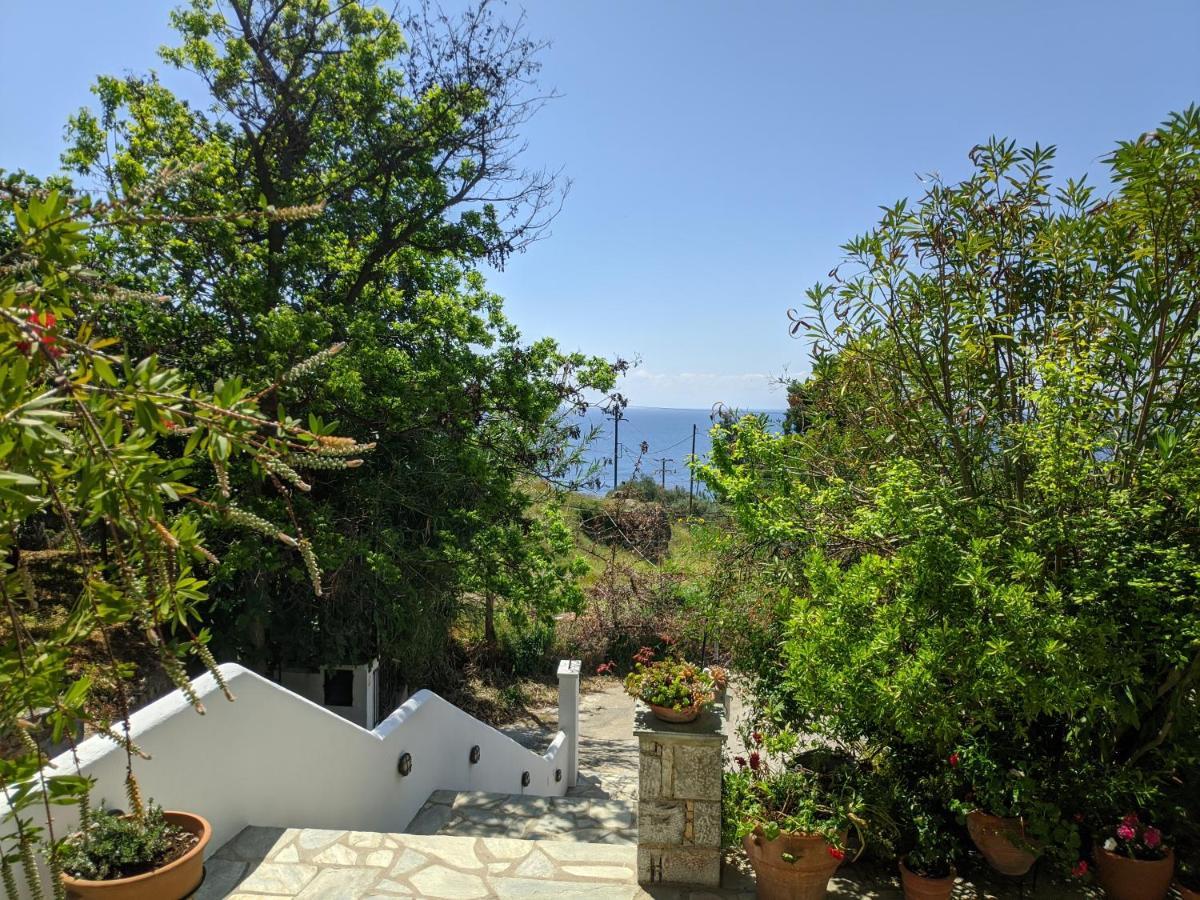 Oikia guesthouse Stafylos Eksteriør billede